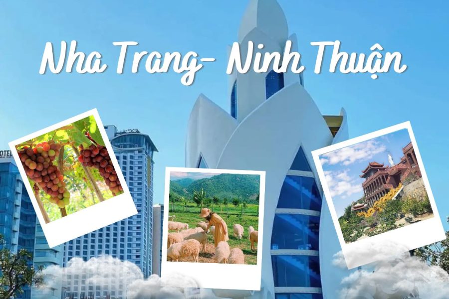 Tour 4N3Đ NHA TRANG- NINH THUẬN