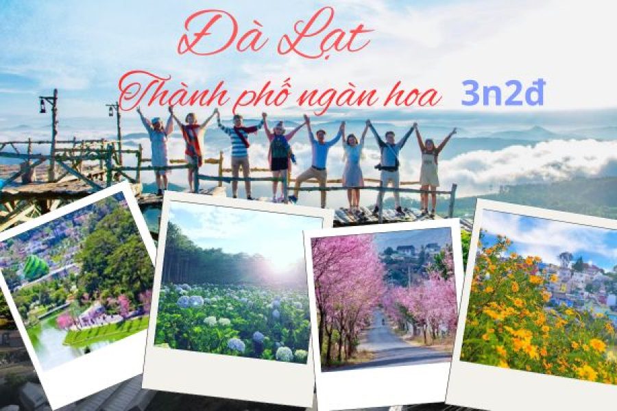 Tour ĐÀ LẠT 3N2Đ