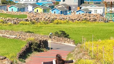 MÙA THU TRÊN ĐẢO JEJU