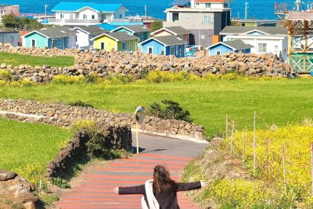 MÙA THU TRÊN ĐẢO JEJU