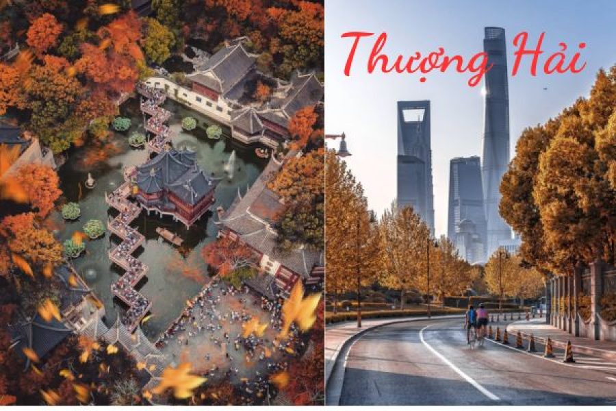 Tour Thượng Hải Hàng Châu- Tô Châu- Ô Trấn 5N4Đ